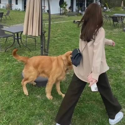 恋恋风尘